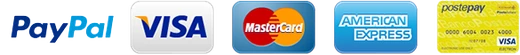 Pagamenti accettati: PayPal, Visa, Mastercard, American Express e Postepay